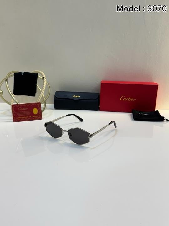 Cartier 3070 Silver Black